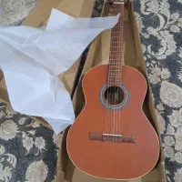 گیتار نو آک