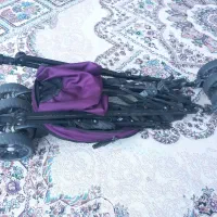 کالسکه عصائی دلیجان