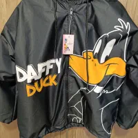 بارونی زیبای دافی داگ