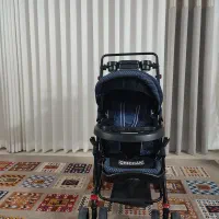 کالسکه کودک دلیجان طرح بنیتا