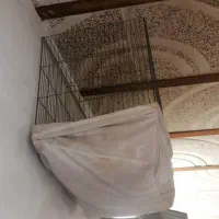 قفس پرنده