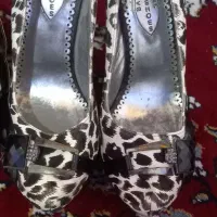 کفش مجلسی