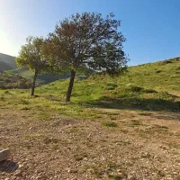 باغ شهری ۱۰۰۰متری تا۱۵۰۰متری دارای سند نقدواقساط|فروش خانه و ویلا|شیراز, شهرک ولیعصر|دیوار