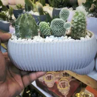 گلدان کاکتوس بزرگ سه گل عمده تک«امید دکور»