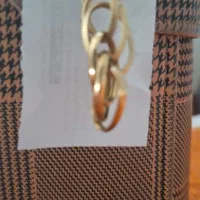 گمشده در شیخ تپه وبهداری فارابی