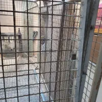 باربندمسقف وانت پیکان