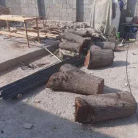 قطع نخل و درخت با خرید چوب