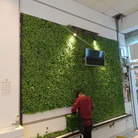 گرین وال (دیوار سبز)فروشی