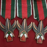 مدال نشان فتح اصلی