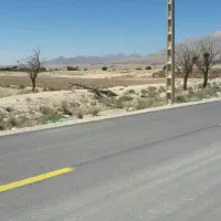 زمین کشاورزی|فروش دفتر صنعتی، کشاورزی، تجاری|شاهرود, |دیوار