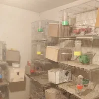 قفس و لانه|لوازم جانبی حیوانات|اصفهان, کشاورزی|دیوار