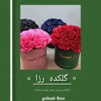 گل روبانی