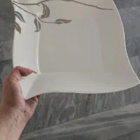 سرویس چینی مجلسی آلمانی