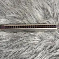 ساز دهنی|سازهای بادی|اصفهان, برازنده|دیوار