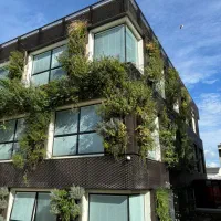 اکسپندد متال (استرچ متال، توری لوزی، پانچ متال)|مصالح و تجهیزات ساختمان|تهران, جردن|دیوار