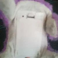 کیف مدرسه|کیف، کفش، کمربند|پلدختر, |دیوار