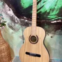 گیتار کلاسیک آریا مدل AK30N