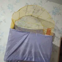 قفس سالم در حد نو