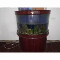 اکواریوم شرکتی نیم دایره