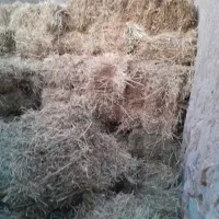 یونجه|لوازم جانبی حیوانات|خوی, |دیوار