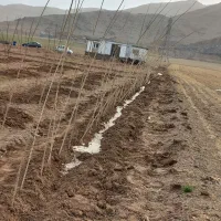 باغ نو ساز ۵۰۰ یا ۱۰۰۰ متر نزدیک به شهر