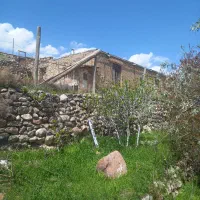 باغچه-باغ-قدیمی