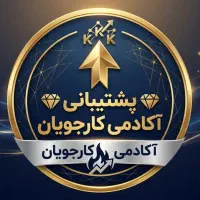 استخدام ادمین پاسخگوی دایرکت تلگرام‌ دورکار باگوشی