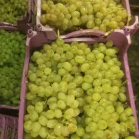 انگور