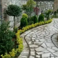 سفرگروهی به طبیعت زیبای شمال