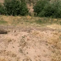 فروش زمین در روستای جم جرد قزوین