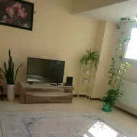 منزل مبله|اجارهٔ کوتاه‌مدت آپارتمان و سوئیت|صدرا-فارس, فاز ۱|دیوار