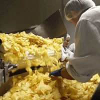 کارگرخانم آقا/کارخانه چیپس پفک/راننده موزع