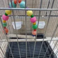 قفس پرنده استیل|لوازم جانبی حیوانات|تهران, امام زاده عبدالله|دیوار