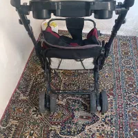 دوعدد کالسکه