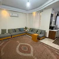 خانم برای امور منزل