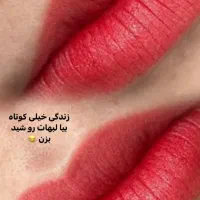 شید ومیکرو و ریمو