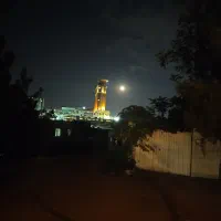 به دنبال خانه با همخانه