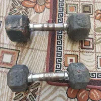 دمبل