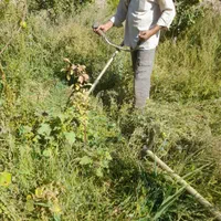 خدمات باغبانی . علف زنی .تیلر. سمپاشی. هرس|خدمات باغبانی و درختکاری|مشهد, کوی سیدی|دیوار