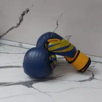 دوجفت دستکش بوکس