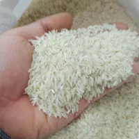 برنج طارم هاشمی درجه یک