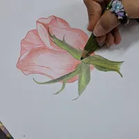 آموزش نقاشی کودک و بزرگسال،مدادرنگی،سیاه قلم|خدمات آموزشی|بندرعباس, |دیوار