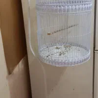 قفس پایه دار نو|لوازم جانبی حیوانات|طرقبه, |دیوار