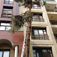 اره موتوری و اره برقی قطع و هرس درخت خرید چوب|خدمات باغبانی و درختکاری|تهران, ایران|دیوار