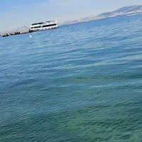 نیازمند وکیل