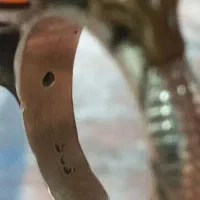 انگشتر نقره نگین عقیق|جواهرات|تهران, زمزم|دیوار