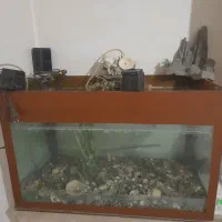 اکواریم