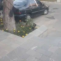 پارس