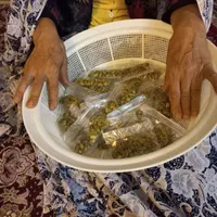 هل سبز درجه یک اعلا به قرآن عرصه بهم سخته