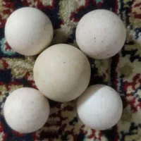 سنگ آسیاب اصلی